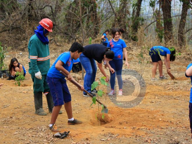 Plantio foi realizado por crianças de 10 e 11 anos, no bairro Imbaúbas 