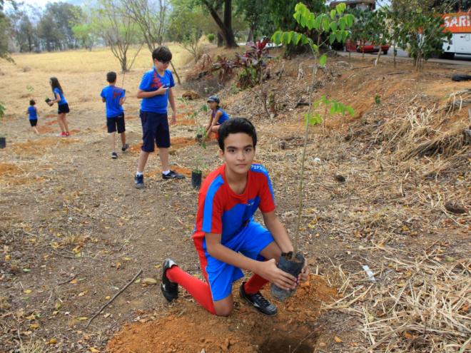 Pedro dos Santos tem 11 anos e fez a sua parte
