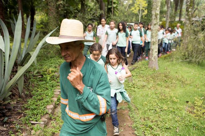 O passeio pela floresta inclui piquenique e plantio de mudas
