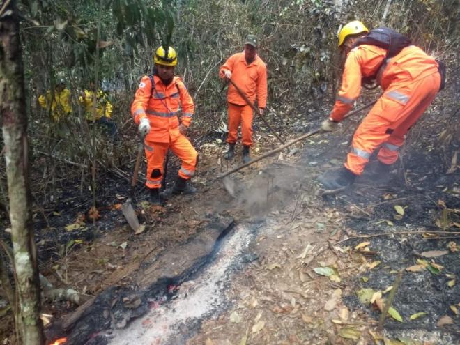 A operação de combate ao incêndio contou com o apoio de bombeiros militares, brigadistas e voluntários 
