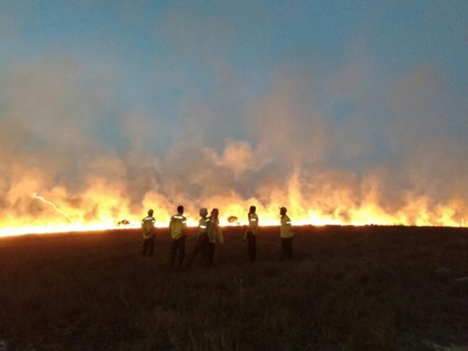A iniciativa tem o objetivo de ampliar o trabalho de combate aos incêndios e garantir a proteção das unidades de conservação estaduais, além de contribuir para recuperação e reinserção social dos detentos