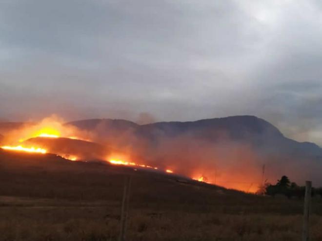 Codema estabelece que as áreas atingidas por incêndio não poderão ser usadas em atividades que impliquem no uso alternativo do solo