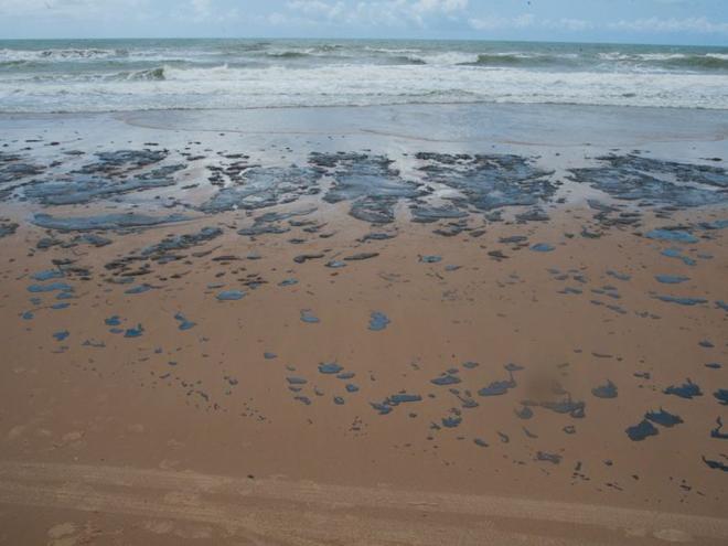 O petróleo cru, desde o dia 2 de setembro, se espalha por nove estados nordestinos (Alagoas, Bahia, Ceará, Maranhão, Paraíba, Pernambuco, Piauí, Rio Grande do Norte e Sergipe)
