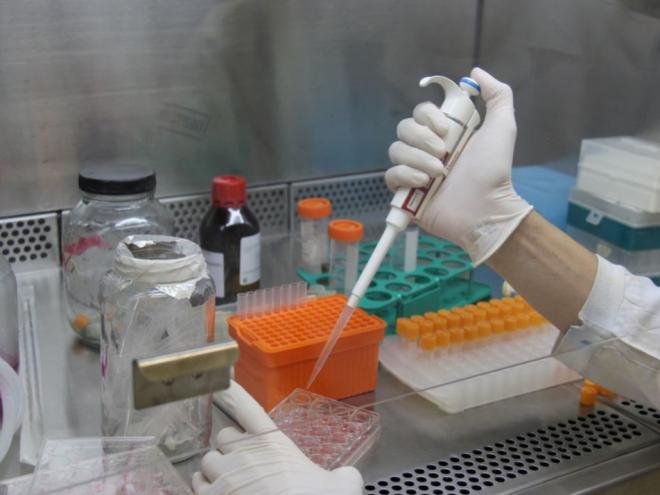 Redução dos custos de tratamento com medicamentos biológicos estaria ligada à concorrência