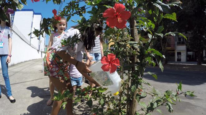 De pequeno porte e belas flores, o hibisco é um dos prediletos