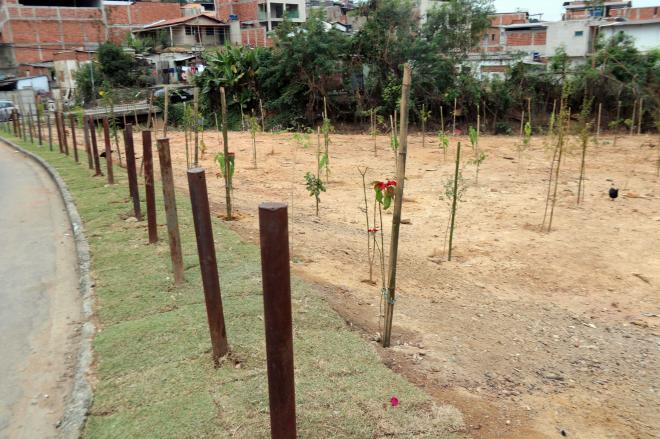 Recuperação ambiental e paisagística permite a produção de alimentos