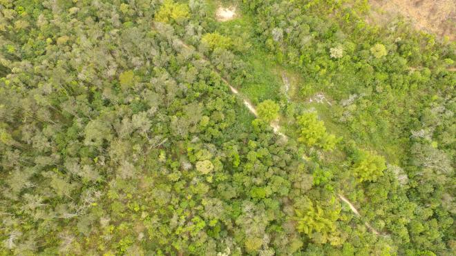 Objetivo é uso sustentável dos recursos naturais e conservação da APA