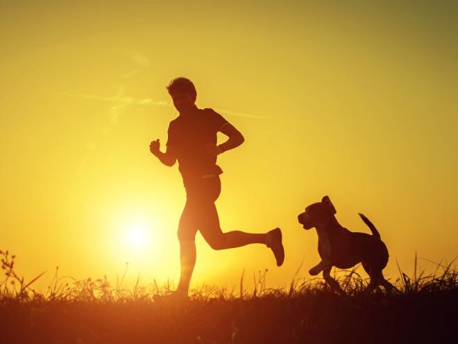  É importante ficar atento à disposição do seu cachorro antes de fazer exercícios