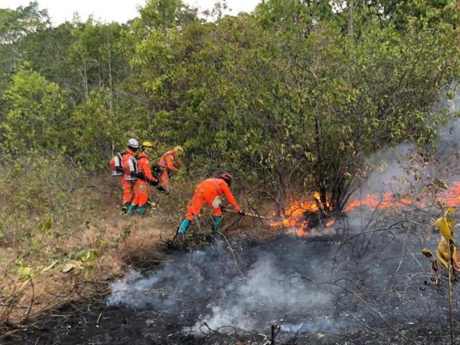 De acordo com o Corpo de Bombeiros, a grande maioria dos sinistros é típica de ações criminosas; denúncias podem ser feitas ao Disque 181