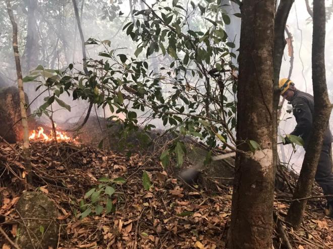 Nos primeiros nove meses deste ano, o total de incêndios registrados foi de 192, contra 88 no mesmo intervalo de tempo de 2018