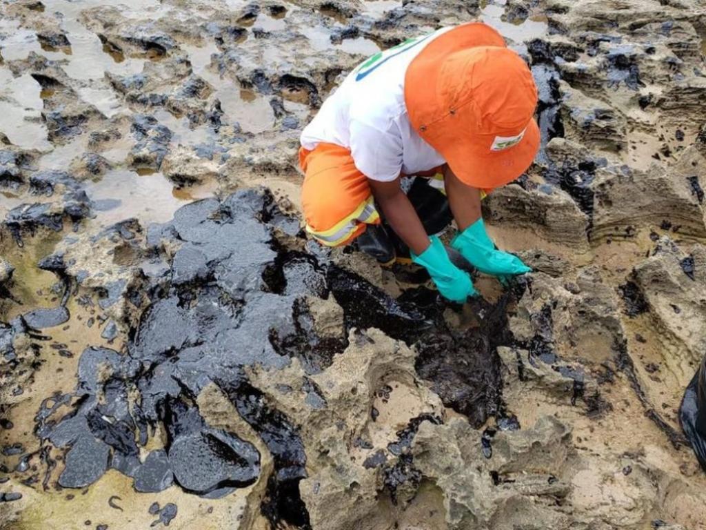 Os investigadores calculam que o vazamento teria ocorrido no mês de agosto, com o óleo chegando às praias no fim daquele mês