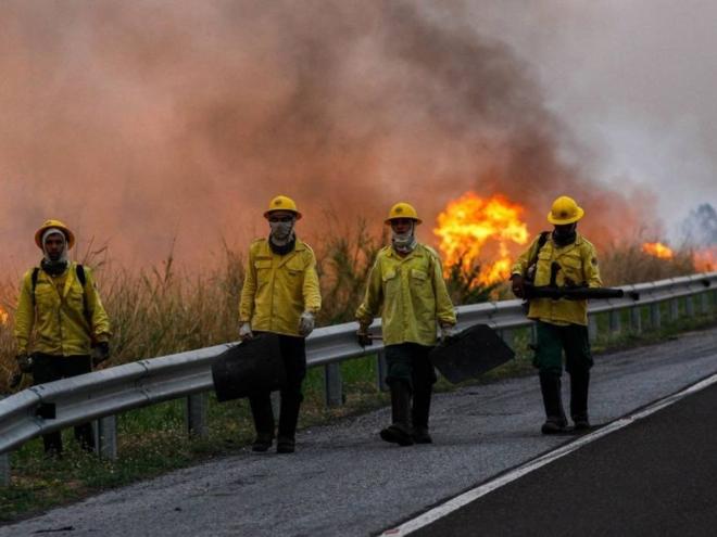 Clima atípico favorece propagação das chamas, mas bombeiros não descartam ação criminosa