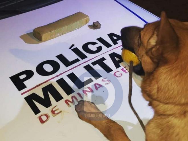 A equipe da Rocca da PM realizou a localização de porções de maconha no local investigado