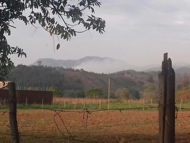 Há risco de a vegetação de toda a área, no topo da serra, ser consumida pelas chamas