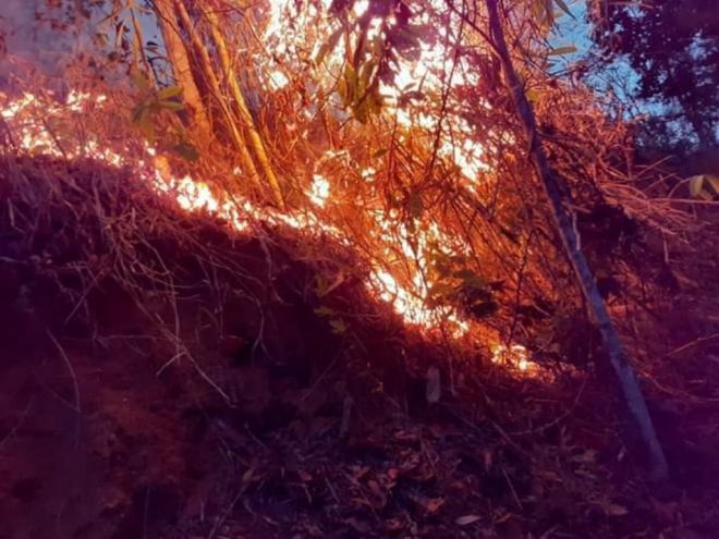 No momento, não é possível calcular toda a área de vegetação queimada com o incêndio 