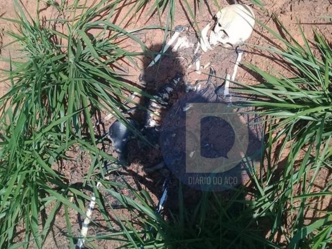 A ossada humana aparentemente estava enterrada em cova rasa