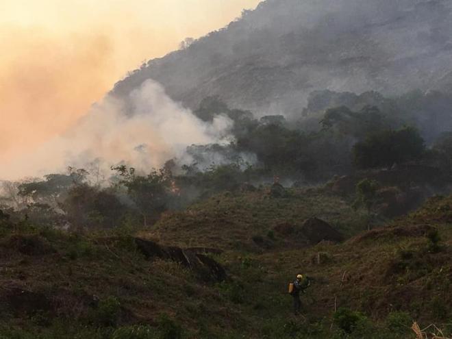 O incêndio florestal chegou a atingir vegetações da zona de amortecimento do Parque Estadual do Rio Doce 