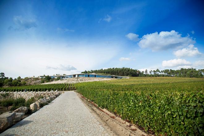 Nas redondezas de Viseu a Quinta de Lemos, produtora de vinhos, mel e azeite, e um restaurante, o Mesa de Lemos garante uma das melhores experiências gastronômicas da região