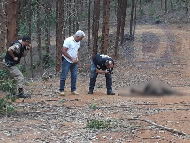 Corpo foi encontrado debruço, em estrada rural, entre Vale Verde e Boachá, em Ipaba