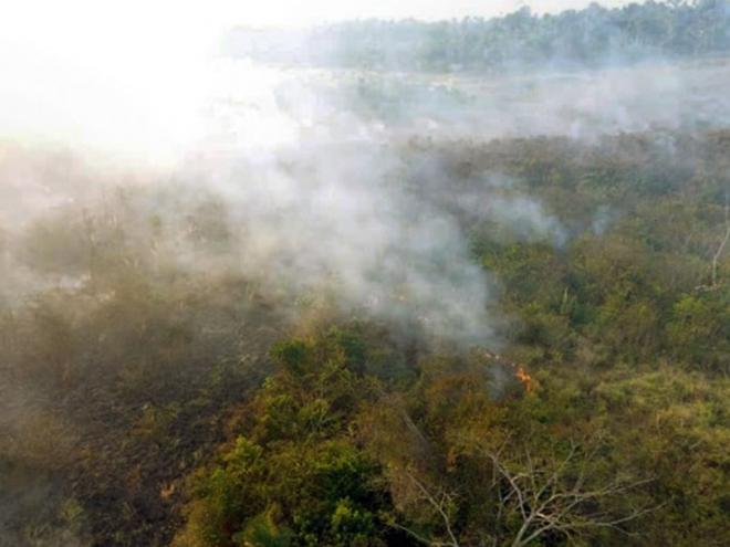 Fogo ateado por isqueiro a gás alastrou pela vegetação