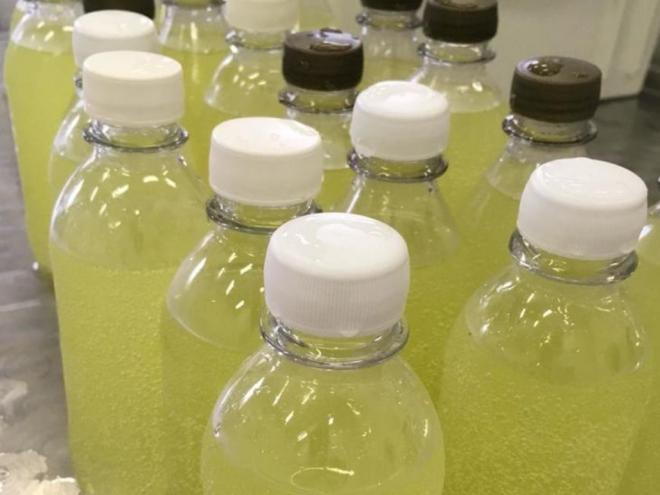 A ideia de desenvolver o kefirgerante surgiu da necessidade de dar um fim útil a esse material, que possui altos teores de cálcio, sais minerais e vitaminas