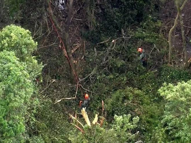 Região da Serra da Cantareira onde equipes de socorristas buscam vítimas de acidente aéreo Foto: Reprodução de vídeo
