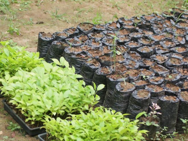 Oficina busca estimular a população a adotar técnicas para produção de composto orgânico