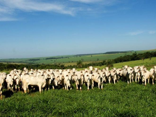 A medida interessa diretamente a 1,8 milhão de pessoas ocupadas com atividades agropecuárias no estado