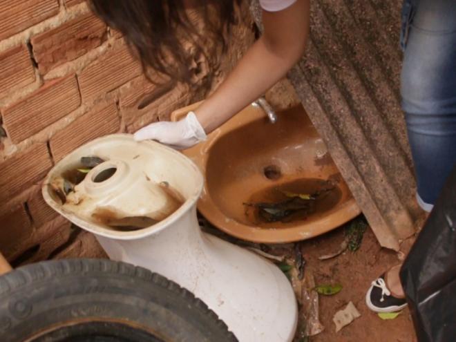 Levantamento vai medir o nível de infestação pelo mosquito Aedes aegypti na cidade