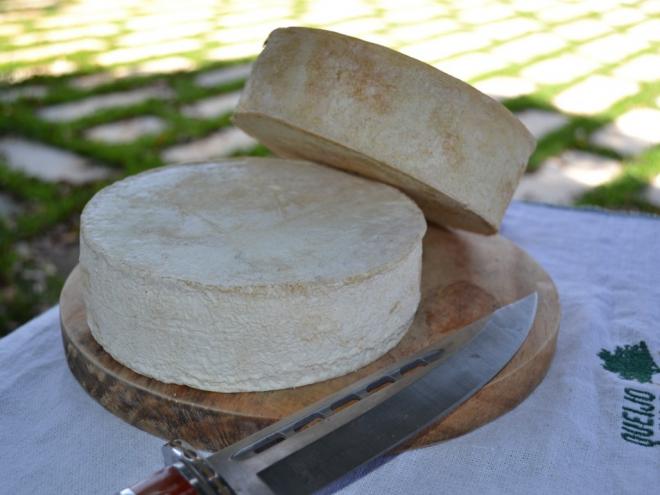 Queijo mineiro da Canastra recebeu nota 88, em escala de 0 a 100