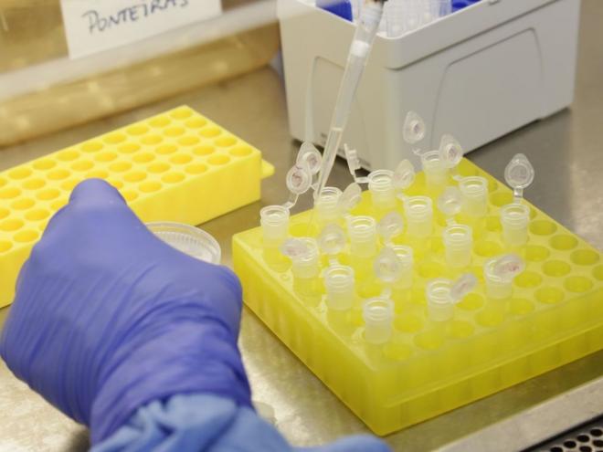 Desde o início da epidemia, foram confirmados 20.704 casos (99,2% na China), com 427 óbitos