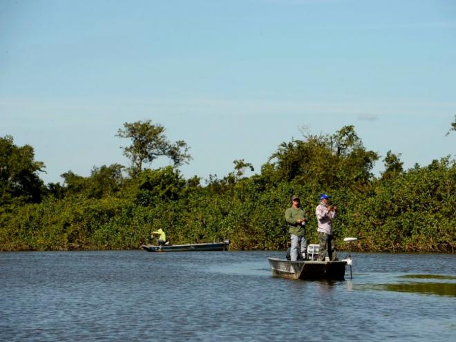 A autorização se limita à captura de peixes, não envolvendo outros recursos pesqueiros