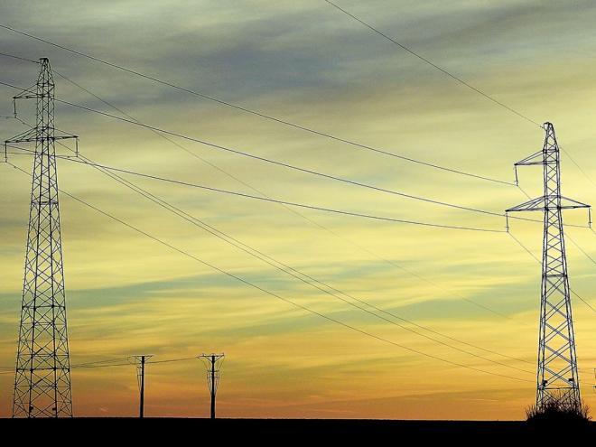 Queda de fios de transmissão elétrica provocou choque mortal em animais de fazenda em Patrocínio