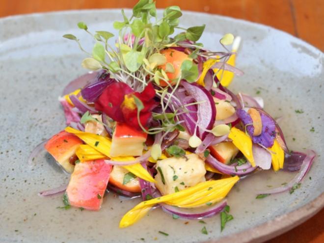 Antes de colher e comer, é preciso conhecer quais são as flores que podem ser utilizadas na culinária