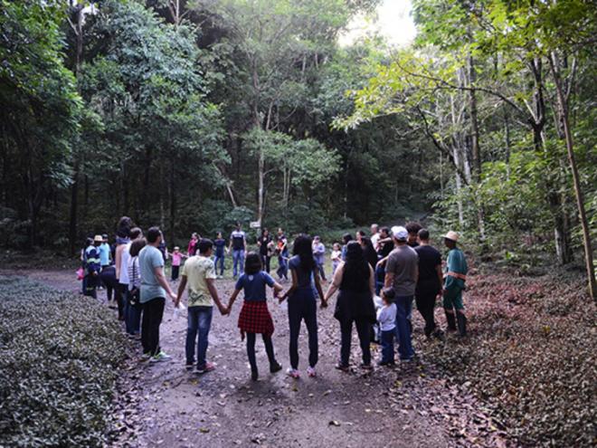 Os visitantes se surpreendem ao conhecer uma floresta bem preservada