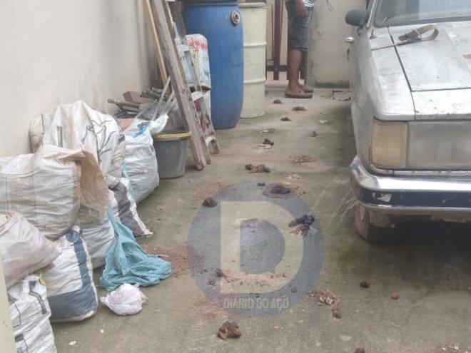 Local onde a pitbull não foi limpo por quase uma semana