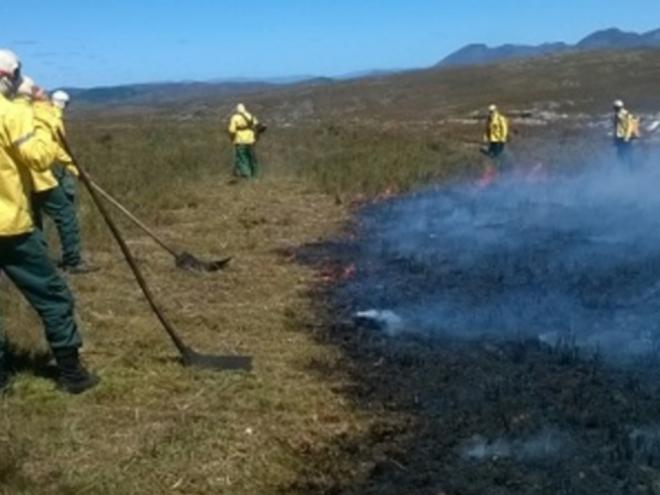 A prática envolve o uso intencional de fogo para manejo de vegetação