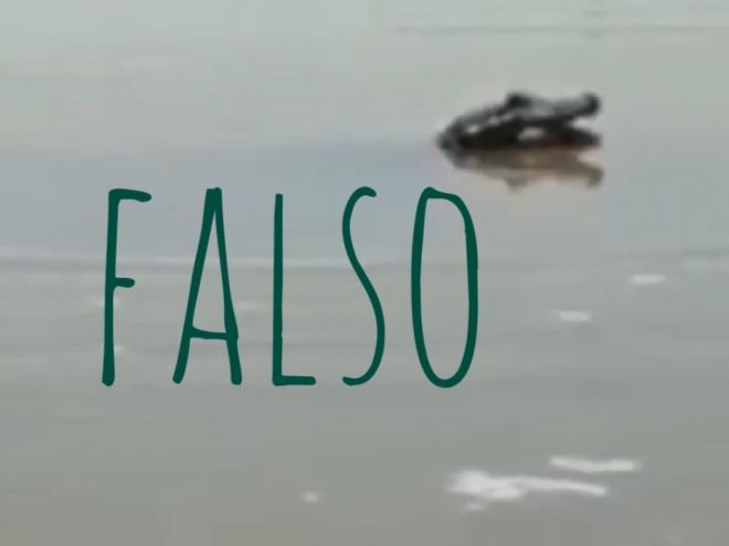 Imagens foram capturadas de vídeo de outro lugar