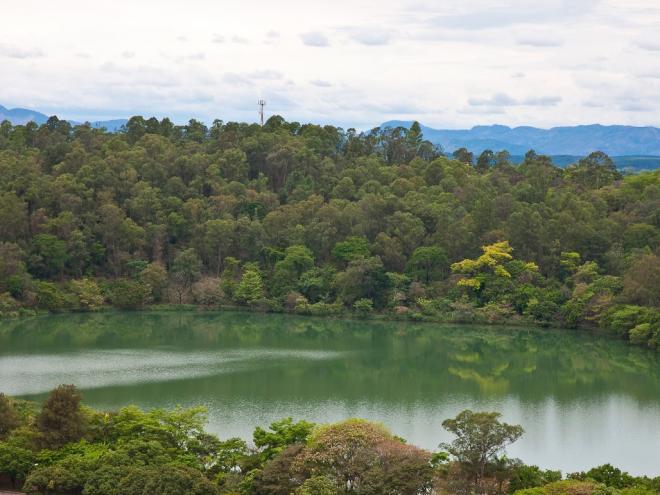 Empresa tem o cuidado com o meio ambiente como uma de suas principais características