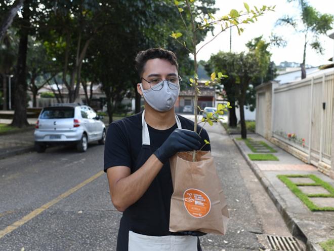 Pratique solidariedade: troque um kg de alimento por uma muda