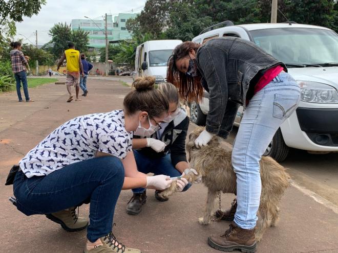 Zoonose realiza testes para identificação de casos de leishmaniose e aplica vacina antirrábica em cães de catadores e moradores de rua