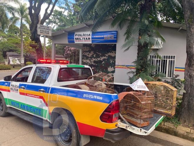 As aves foram encontradas na casa de um homem denunciado