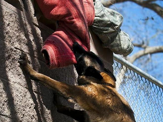 Morador de Araguari será compensado por proprietário de cachorro por ataque sofrido no braço