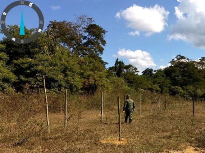 Área invadida fica nas imediações do Parque Estadual do Rio Doce, na área de amortecimento da unidade de conservação 