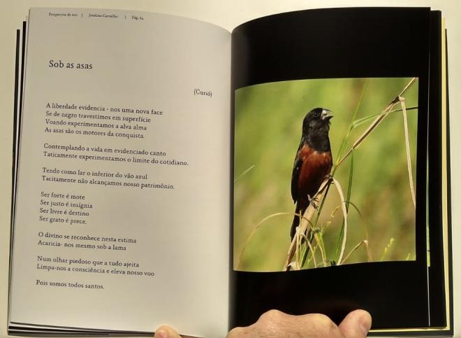 Poesias e imagens em uma bela composição artística