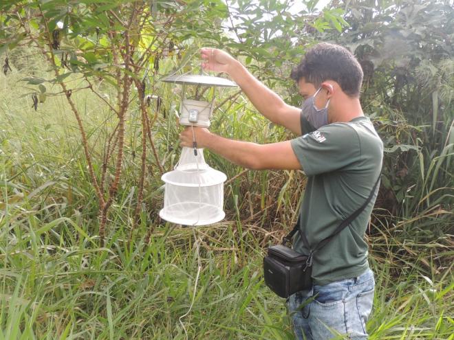 Uma equipe vai a campo para coletar e identificar os insetos, principalmente mosquitos