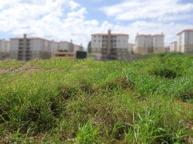 Vítima foi atraída para matagal ermo, com promessas de emprego