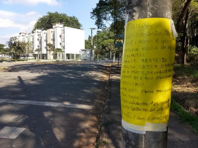 Cartaz, na avenida Itália, mostra a indignação com o furto de mudas de planta medicinal à margem da avenida 