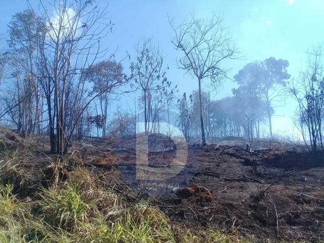 O fogo atingiu pastagens e uma área de mata nativa