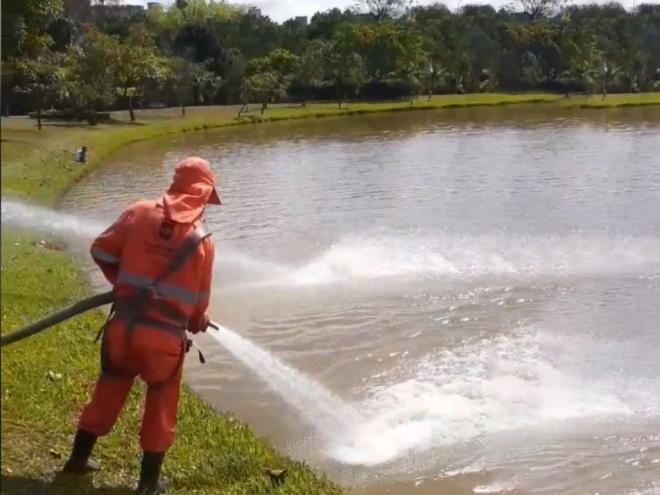 No começo da manhã foram lançados jatos de água de dois caminhões pipa para oxigenar a água